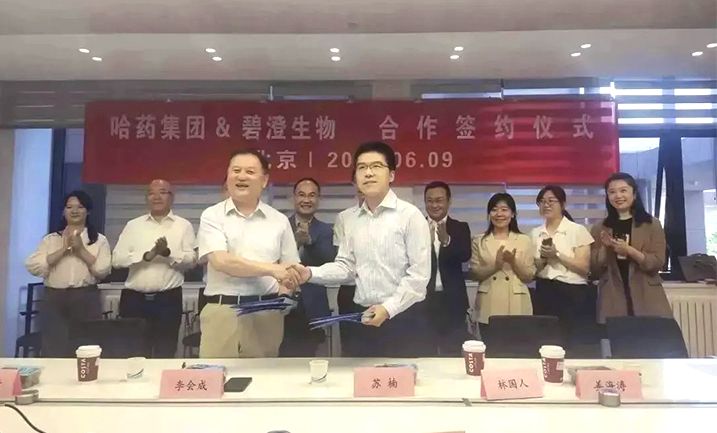 哈药携手清华大学，强强联合共创胶原蛋白行业未来